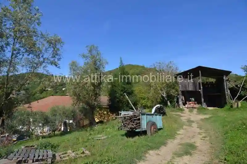 Rustico - Casale - foto 5