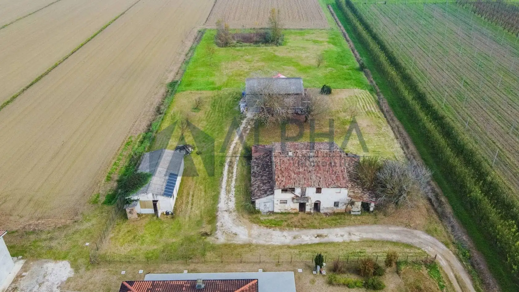 Rustico - Casale in vendita a Forlì