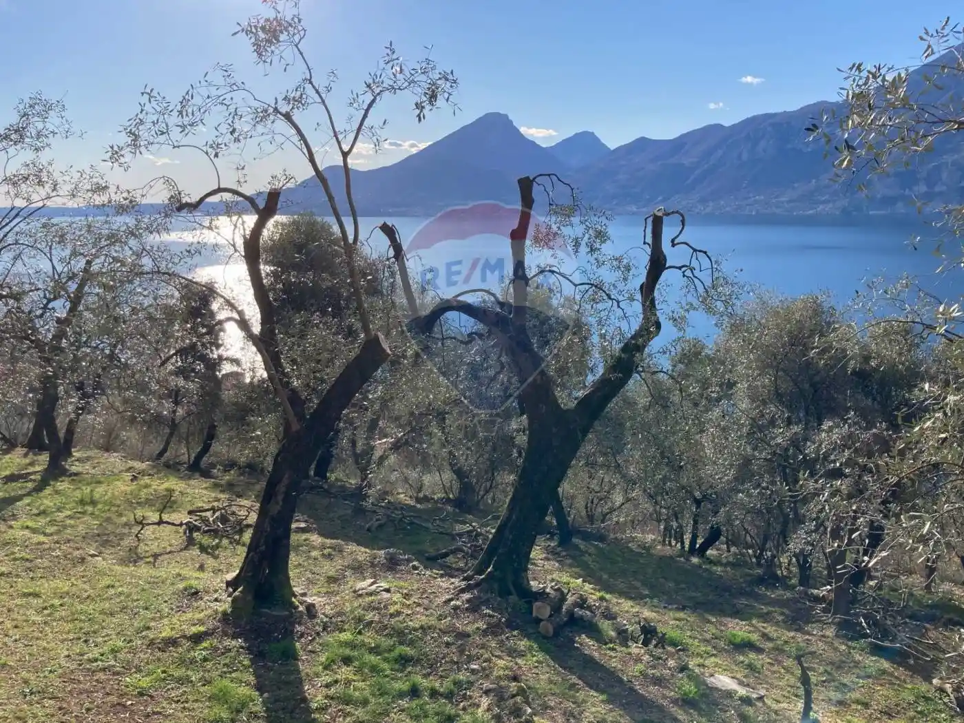 Rustico - Casale in vendita a Brenzone sul Garda