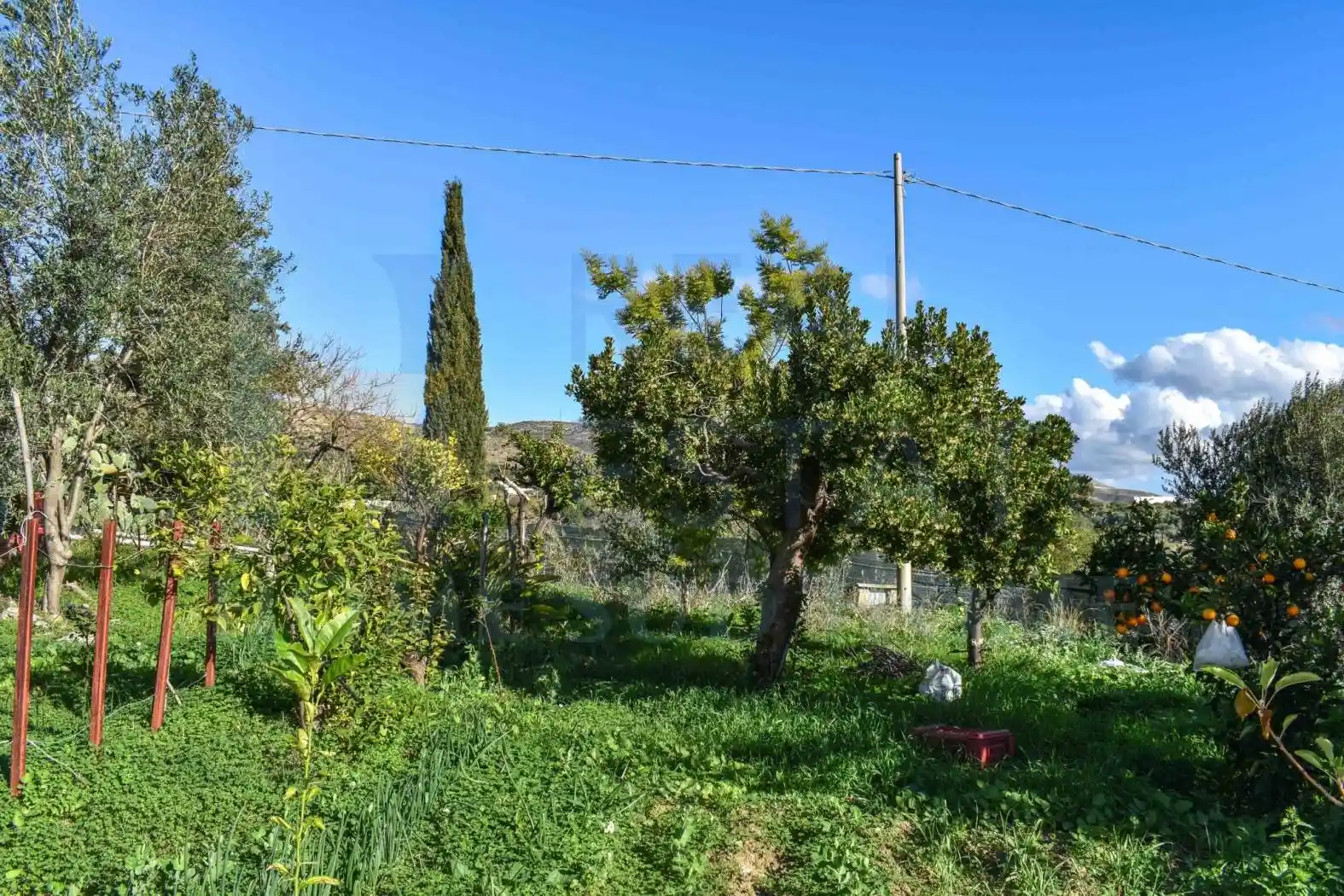 Rustico - Casale in vendita a Avola