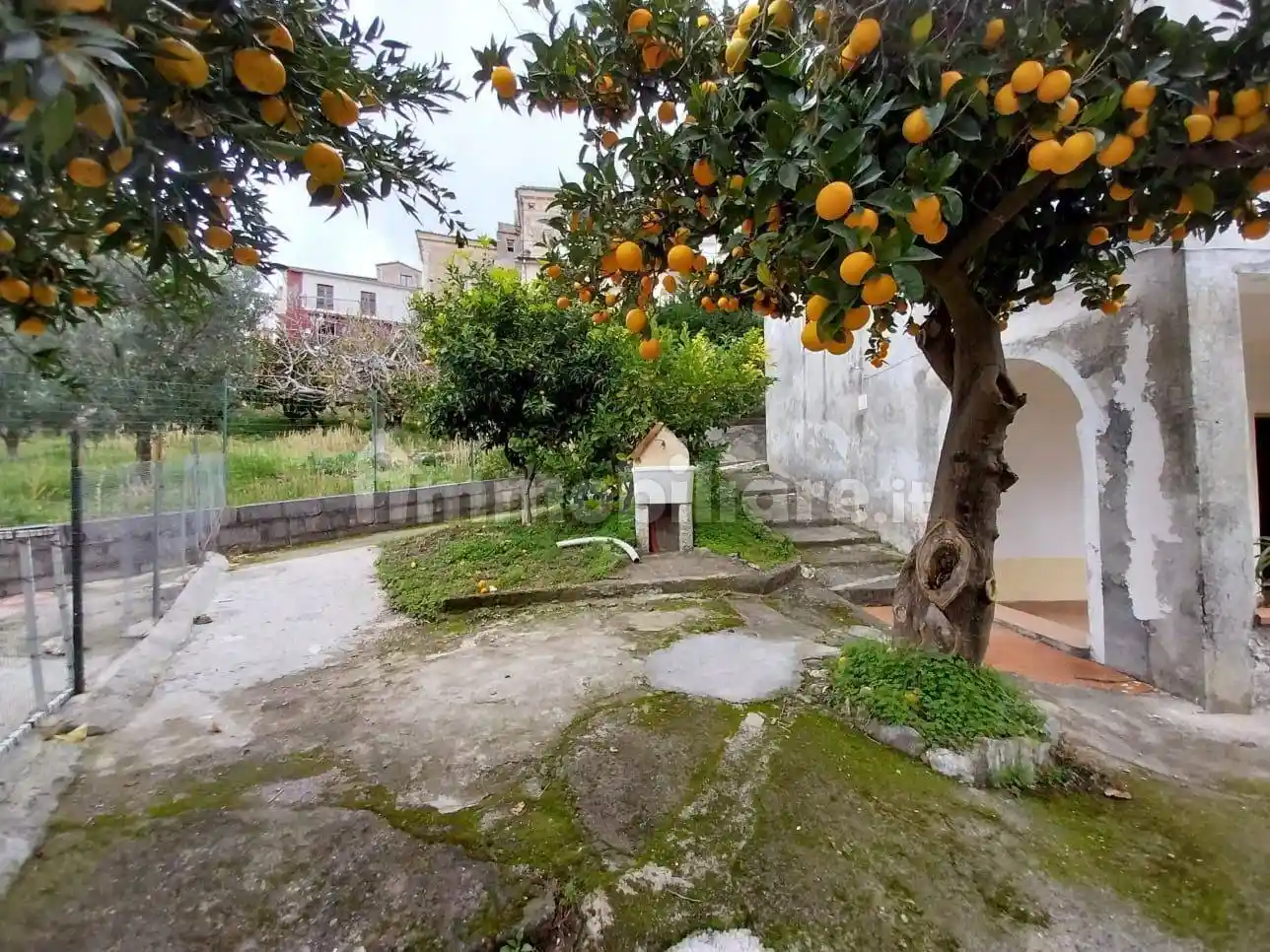 Bilocale via telese, Bonifati - foto 3