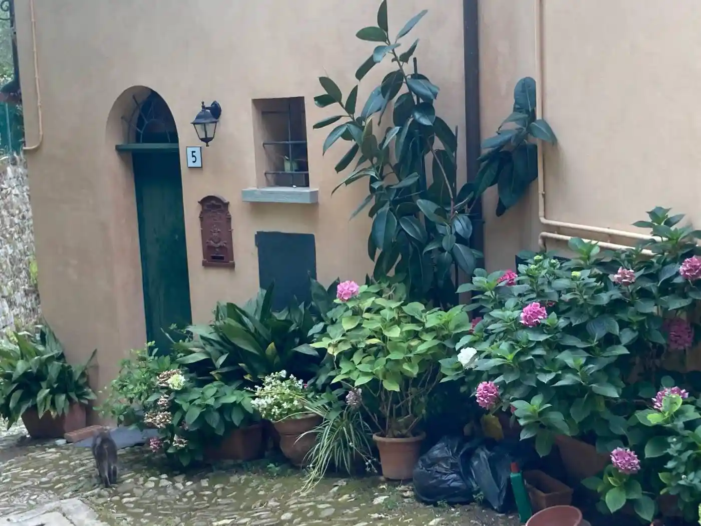 Casa indipendente in vendita a Brisighella