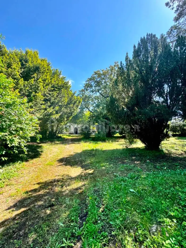 Casa colonica via Lippe 2, Buttrio - foto 4