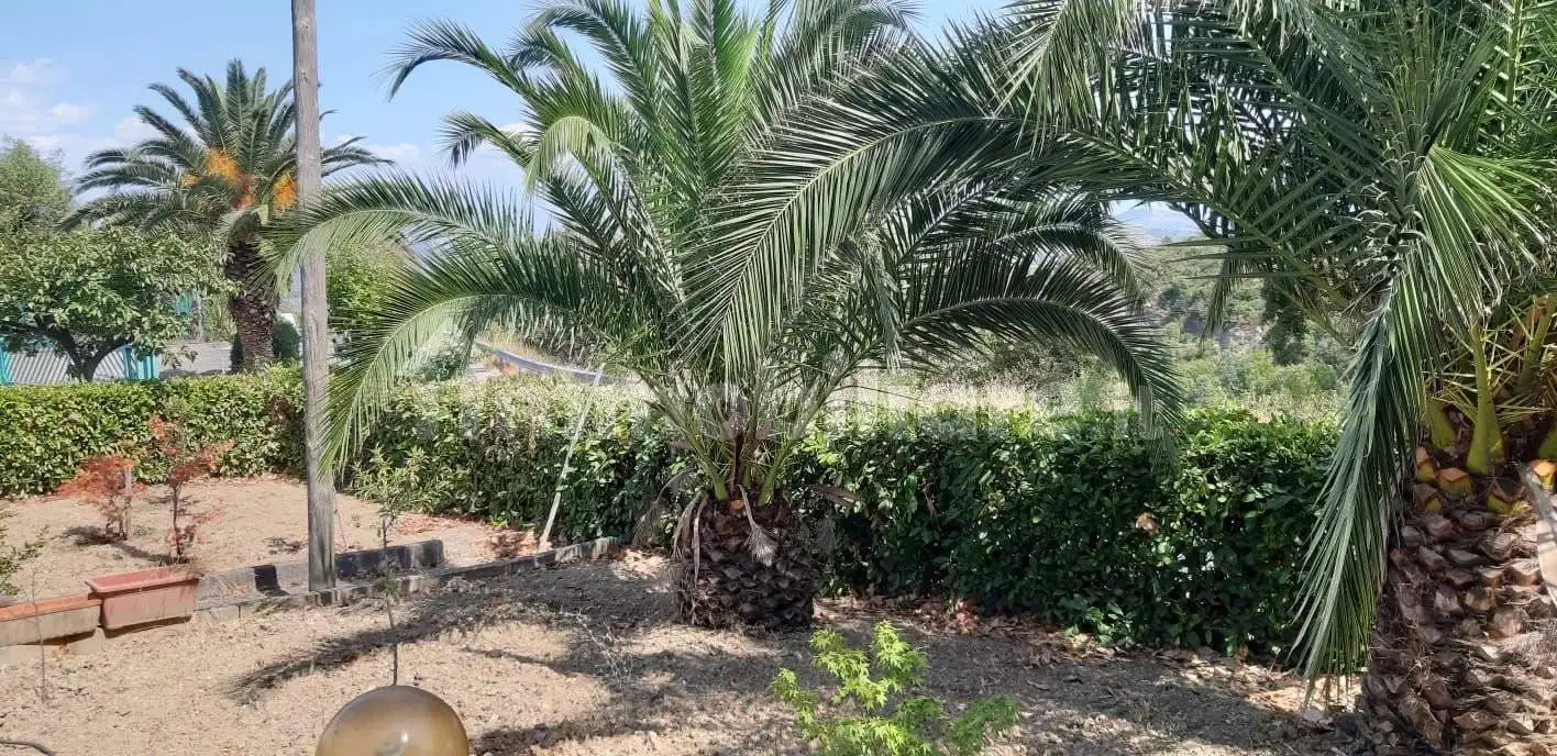 Casale Strada Provinciale di Chiaromonte 10, Chiaromonte - foto 4