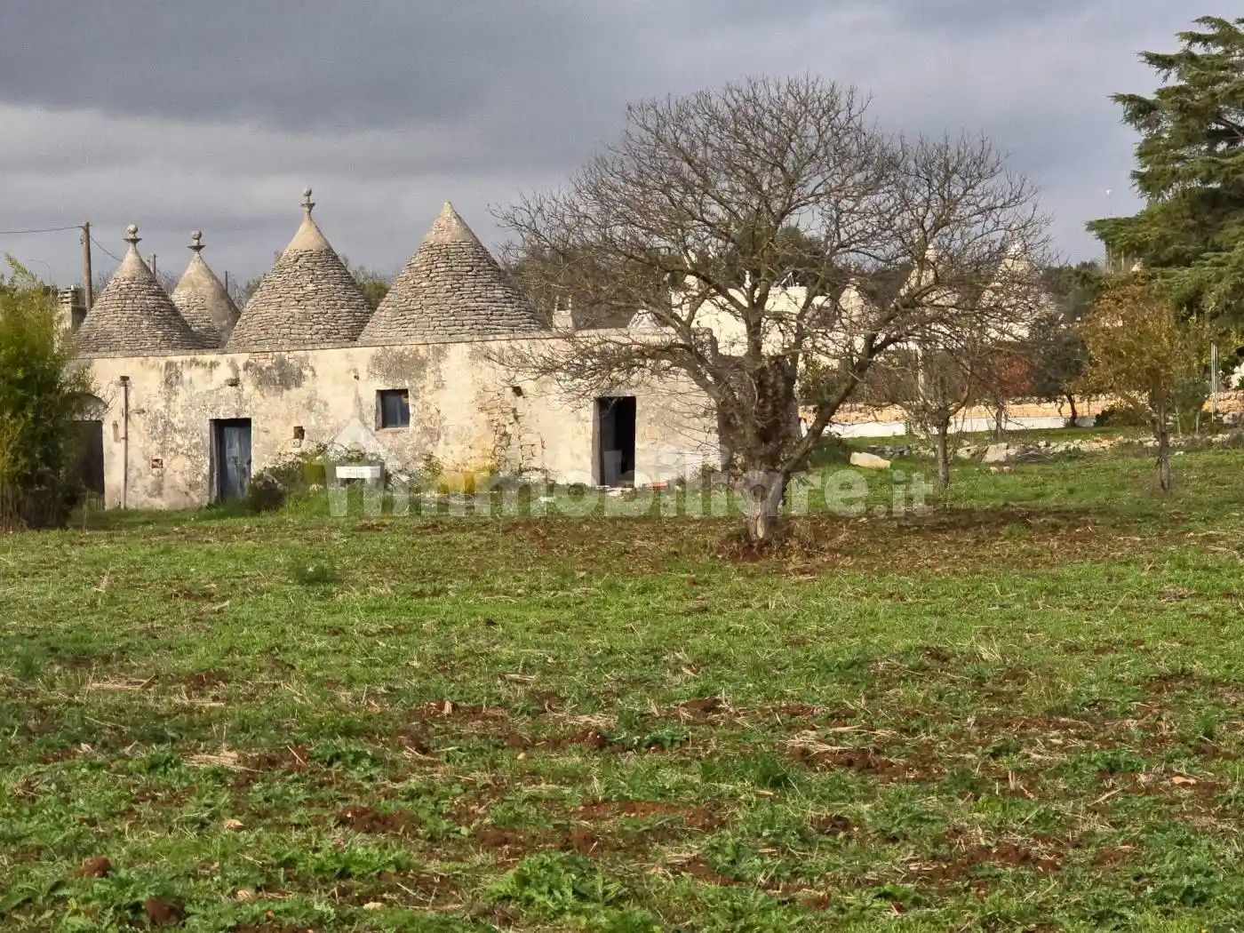 Rustico - Casale in vendita a Ostuni