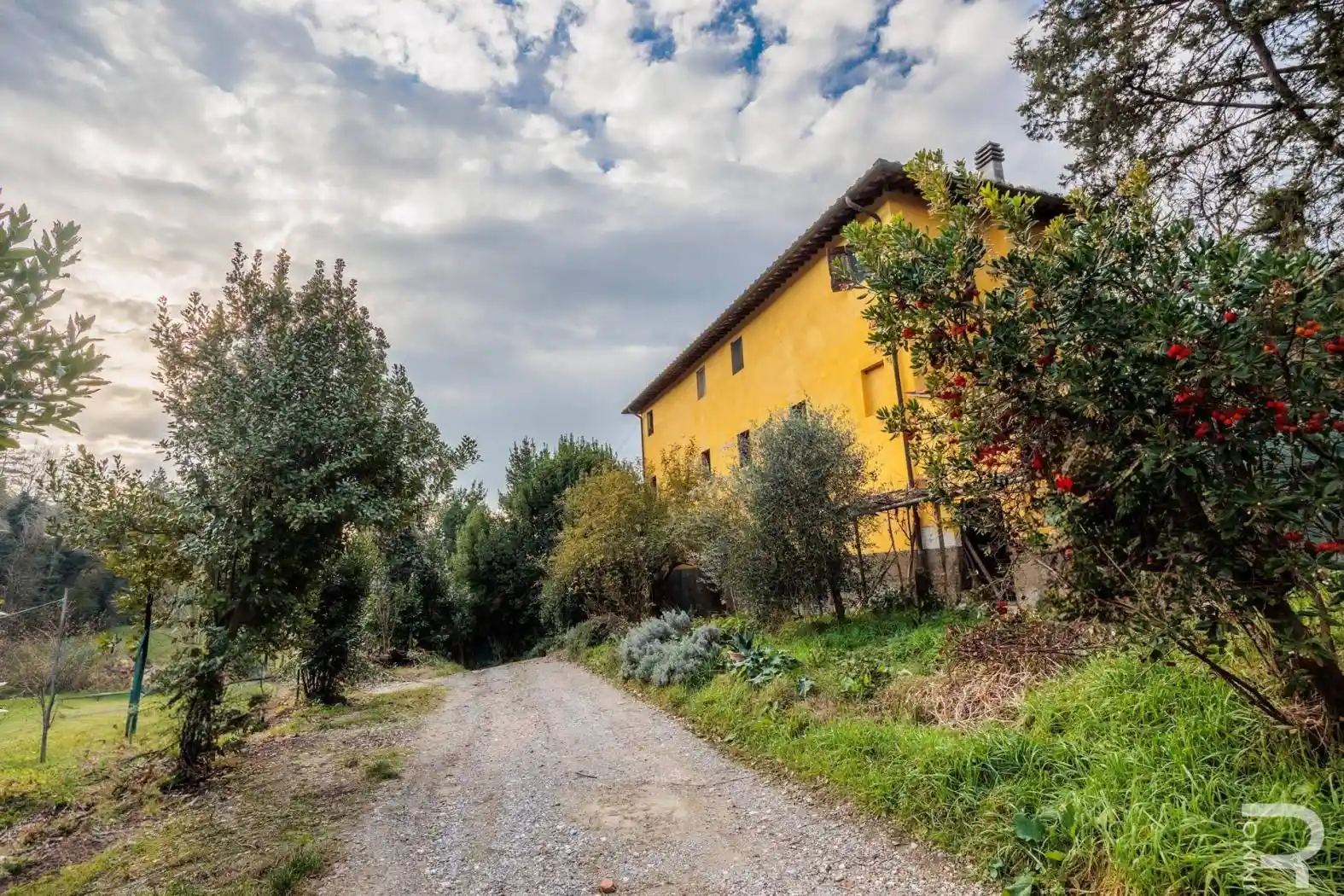 Rustico - Casale in vendita a San Miniato