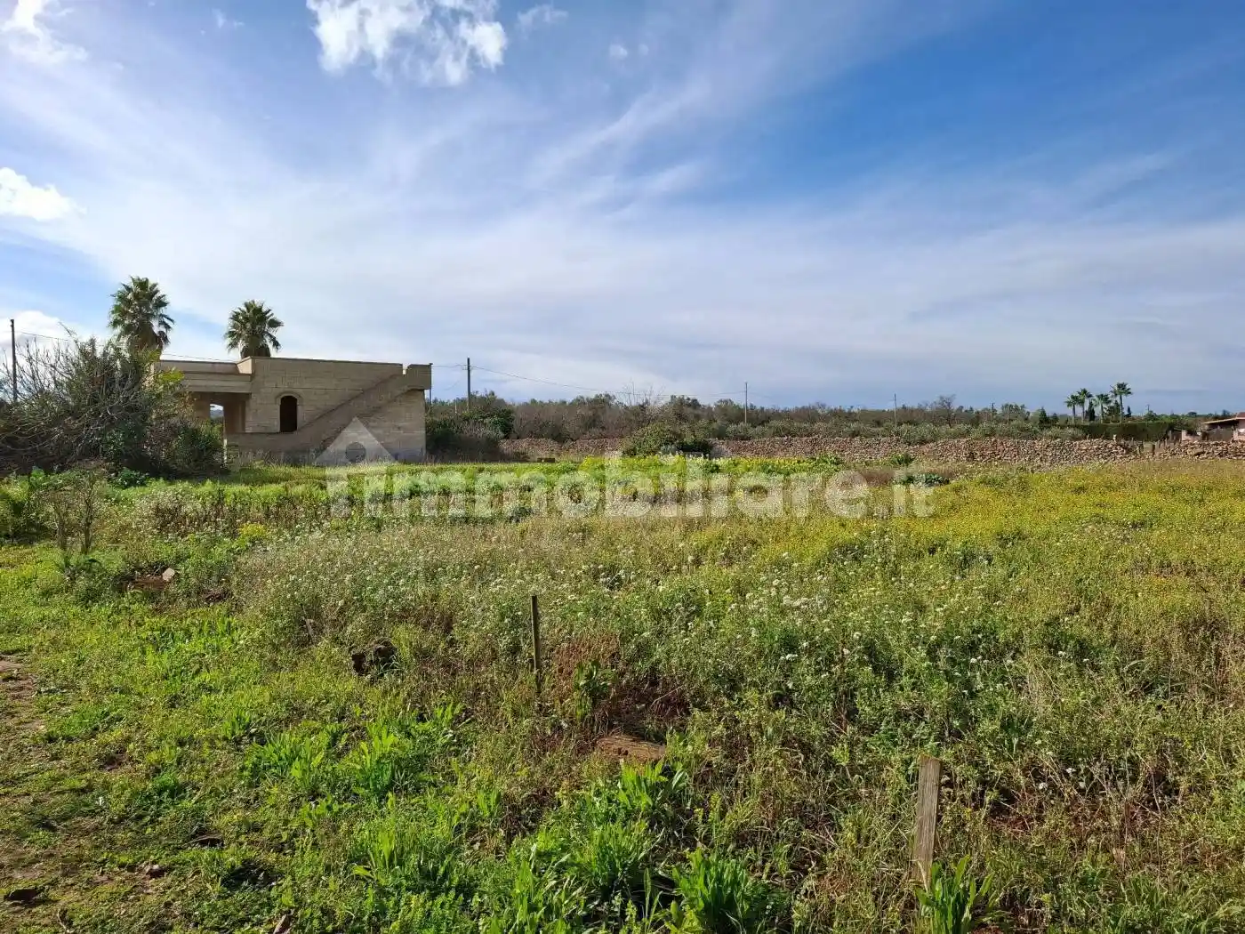 Rustico - Casale in vendita a Specchia