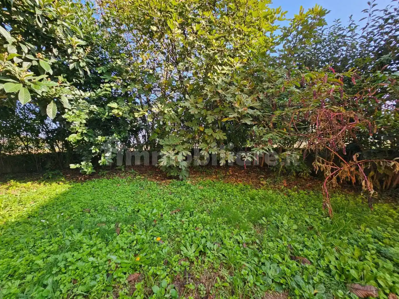 Villa in vendita a Robecco sul Naviglio