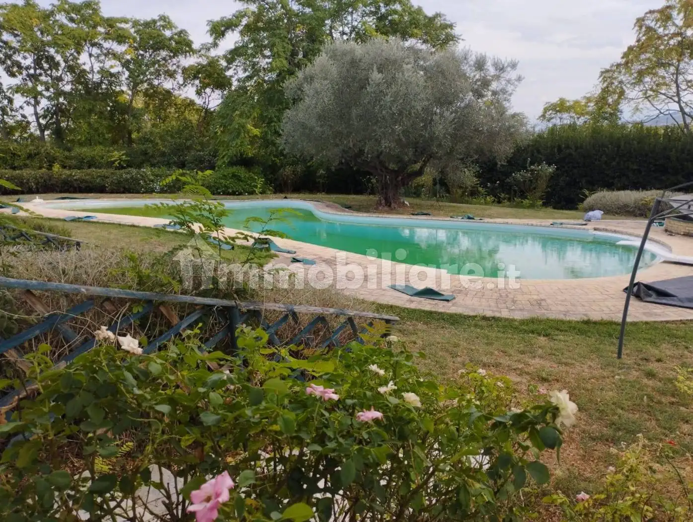 Casale Strada Comunale di Villa Cipressi, Elice - foto 2