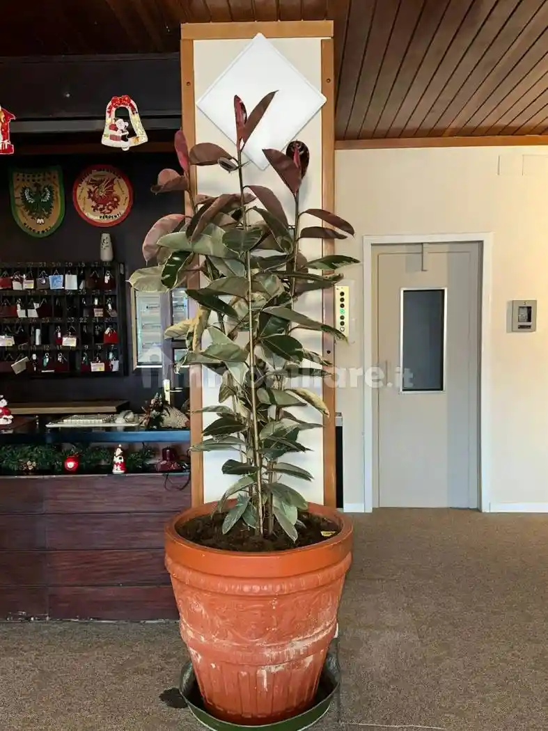 Bilocale Aremogna, Aremogna, Roccaraso - foto 4