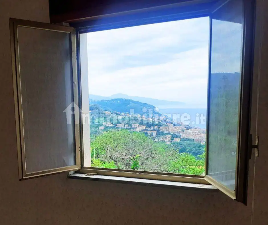 Appartamento in vendita a Cetraro