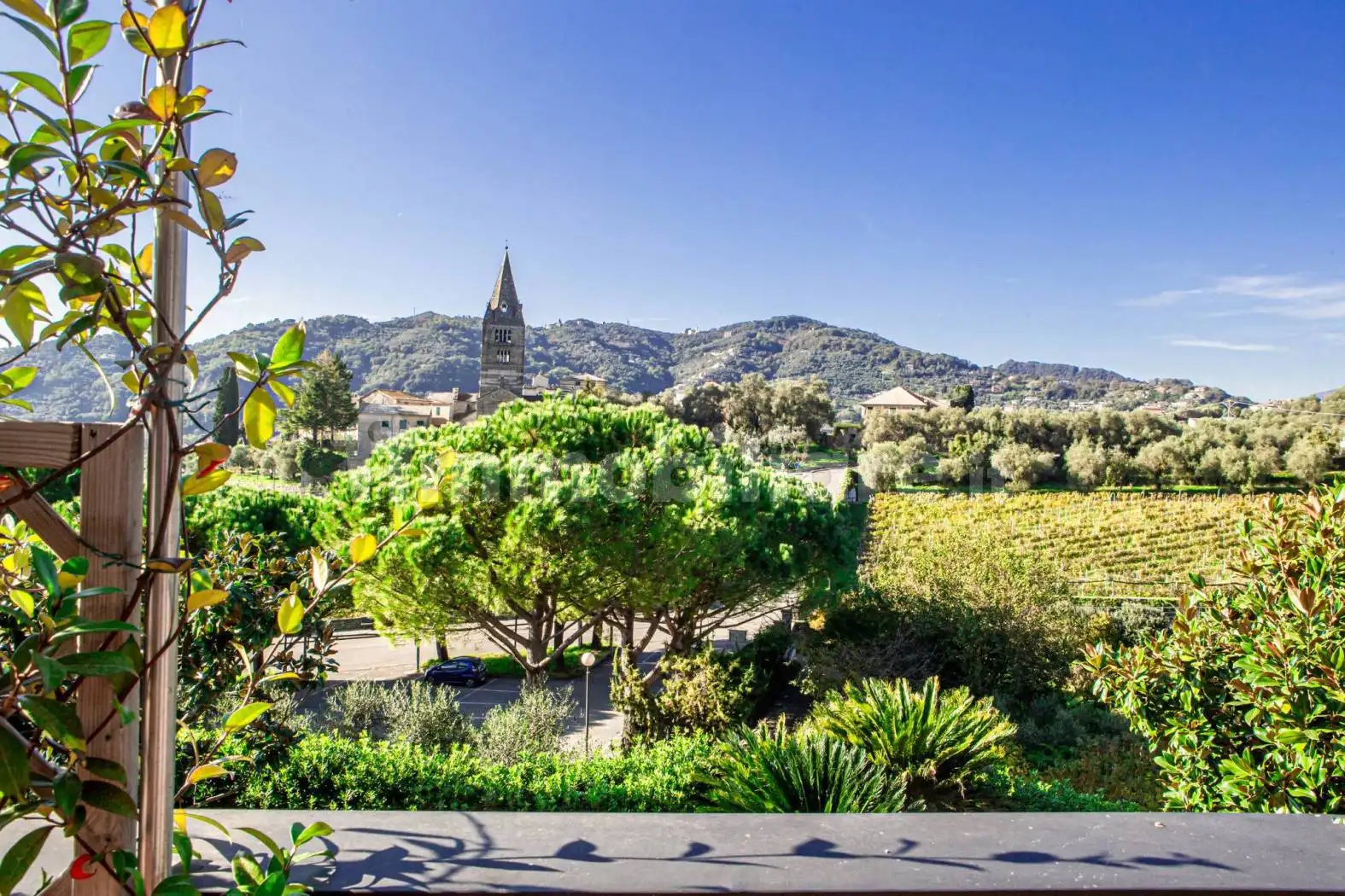 Villa in affitto a Cogorno