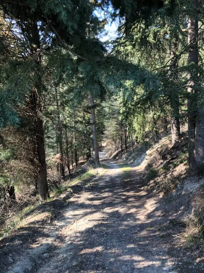 Casa indipendente in vendita a Sasso Marconi