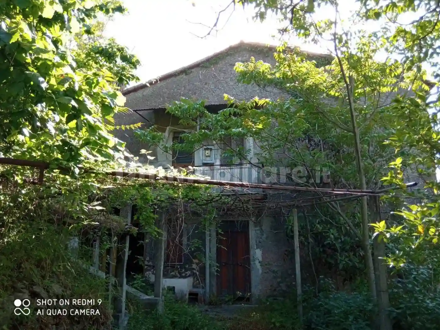 Palazzo - Edificio - foto 4