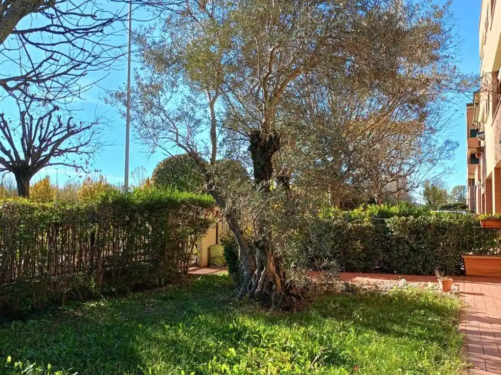 Appartamento in vendita a Mirandola