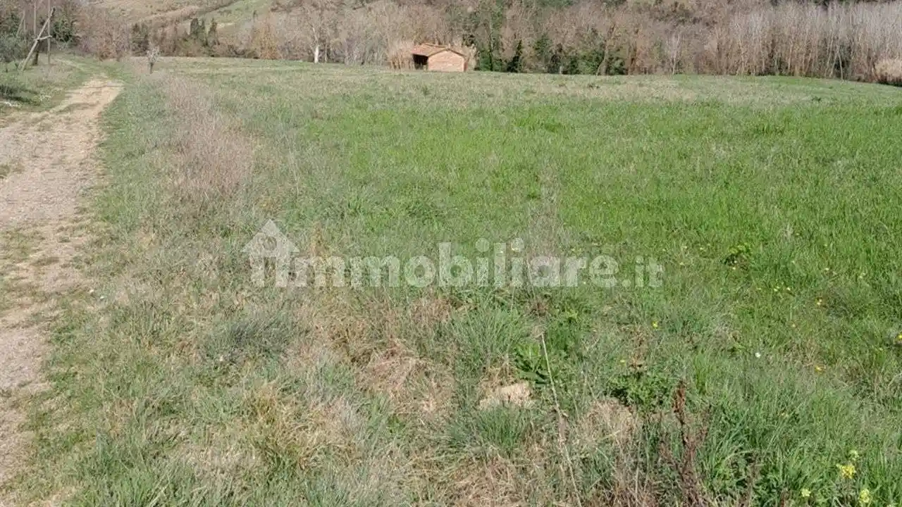 Villa in vendita a Peccioli