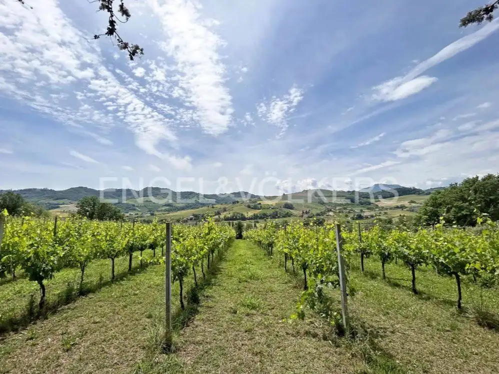 Rustico - Casale in vendita a Montelparo