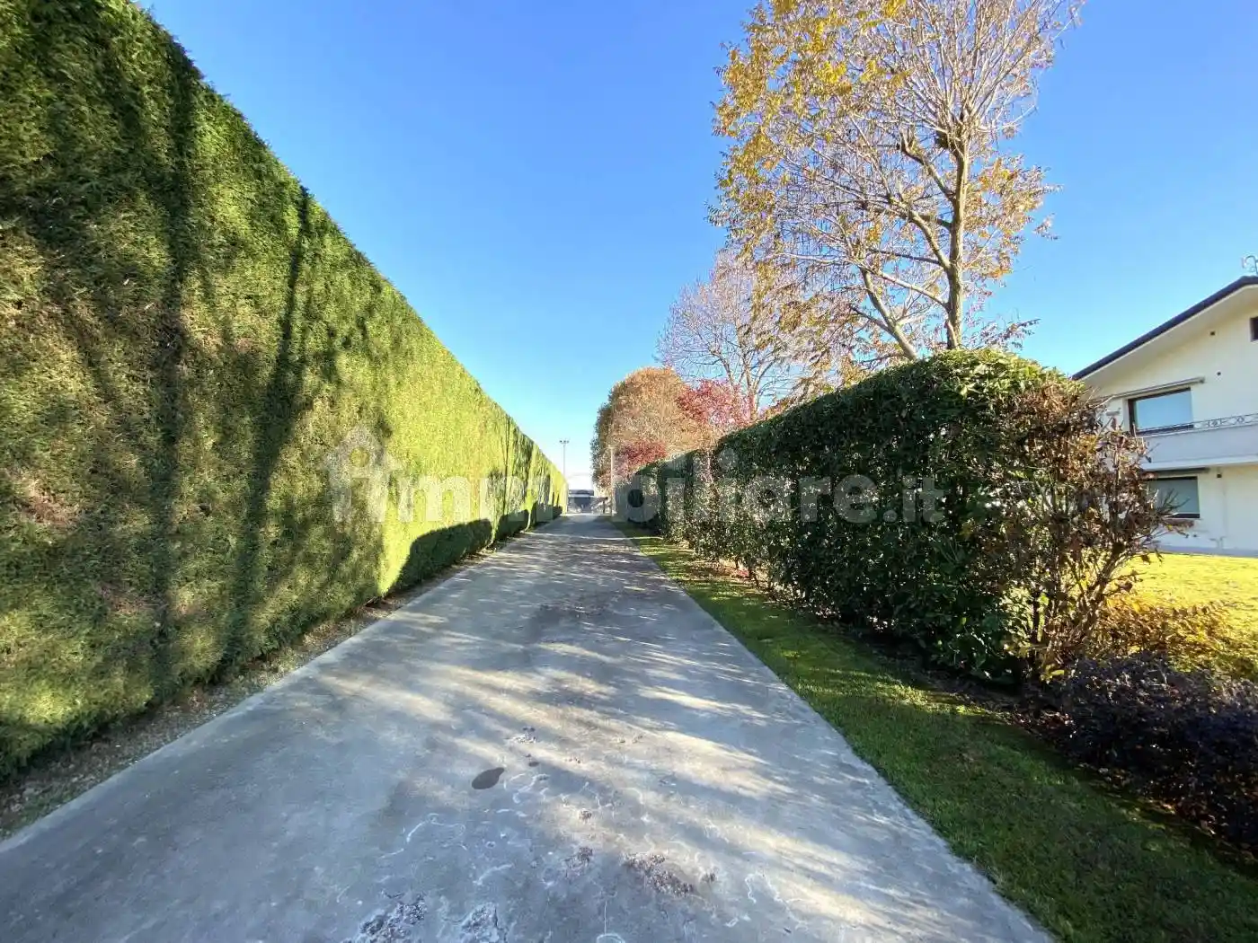 Villa plurifamiliare, ottimo stato, 1350 m², Centro, Villa del Conte - foto 5