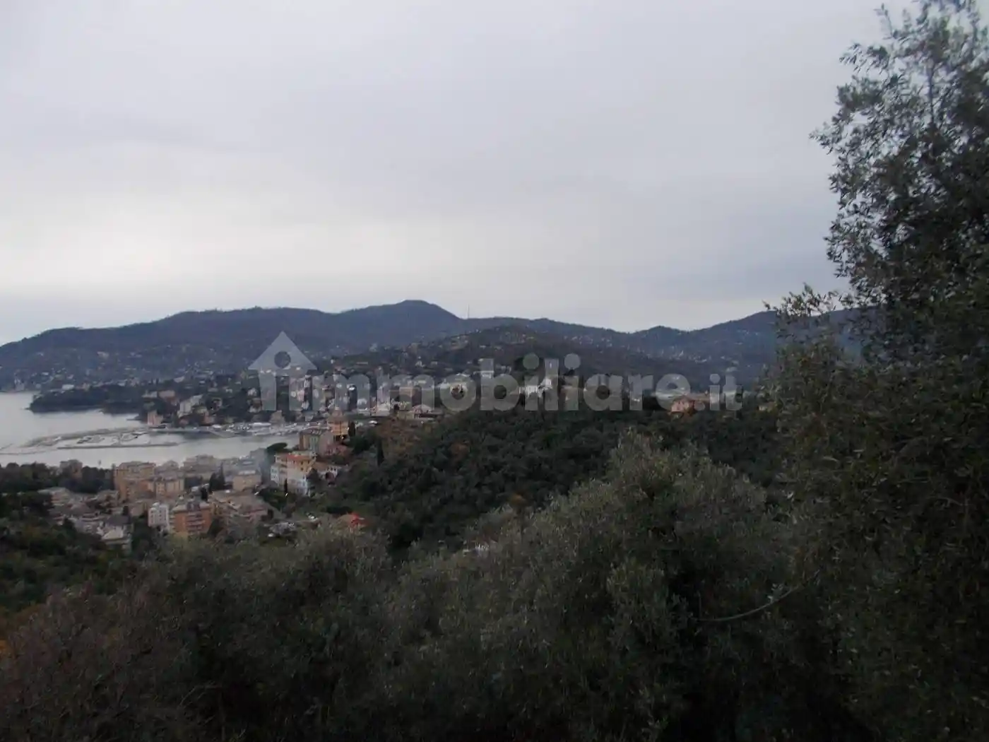 Rustico salita al Pianello, San Maurizio - Montallegro, Rapallo - foto 3