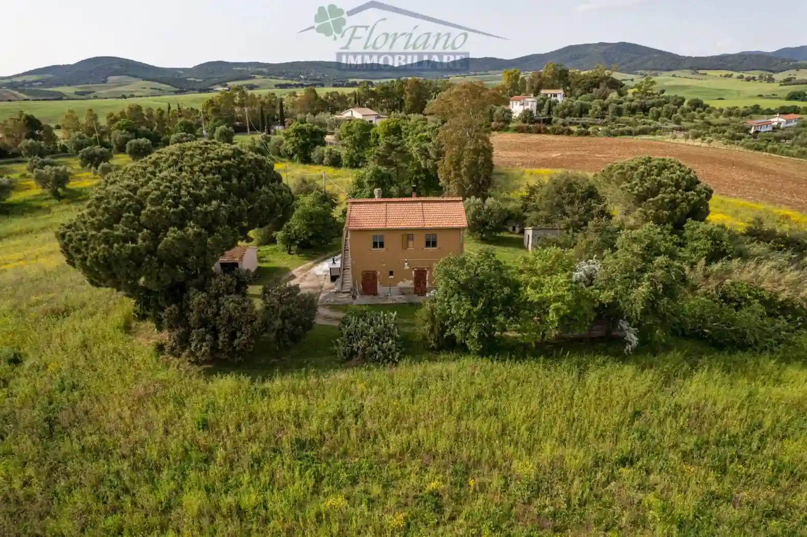 Rustico - Casale - foto 3