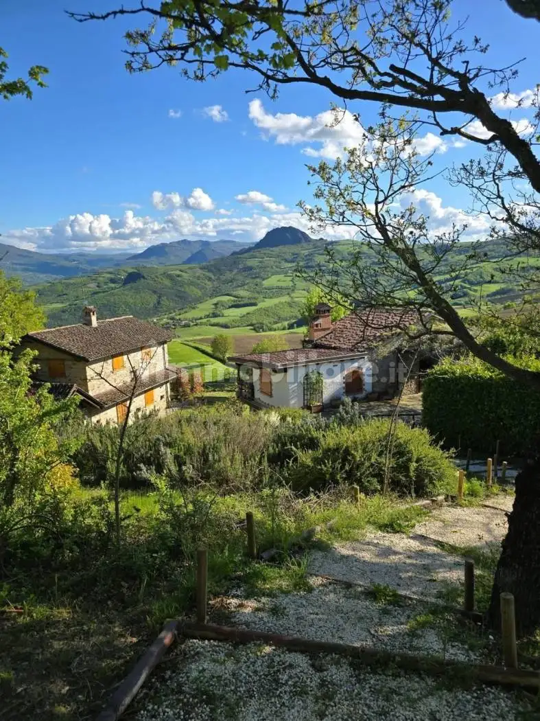 Appartamento in affitto a Travo