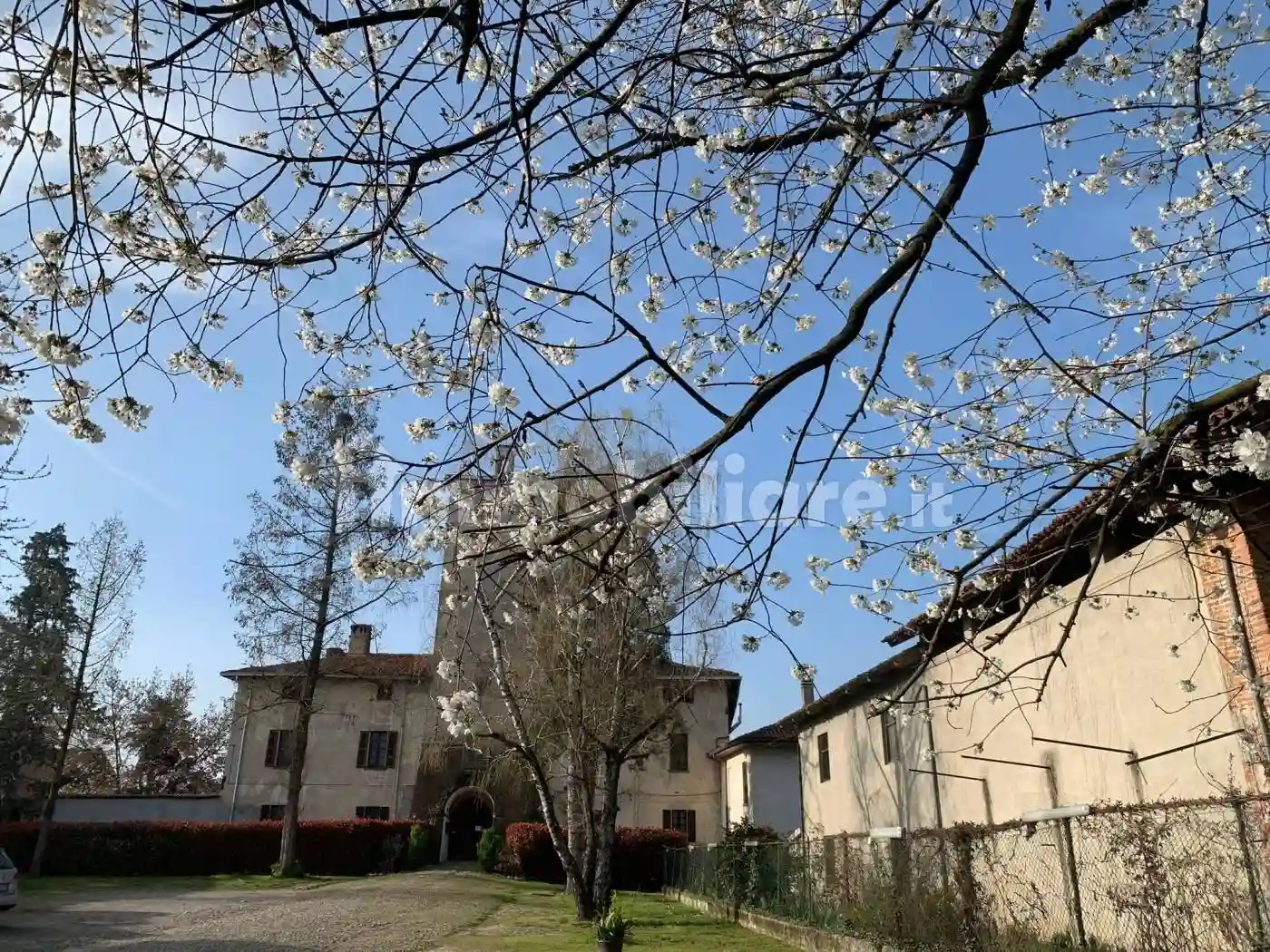 Palazzo - Edificio - foto 4