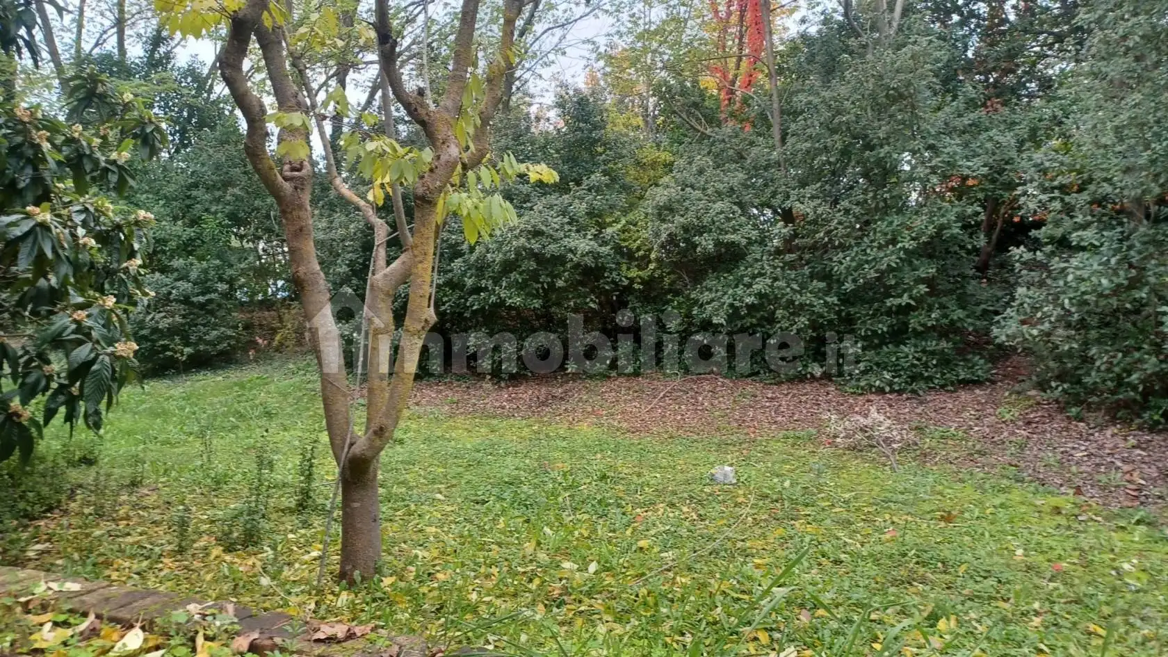 Villa in vendita a Sassofeltrio