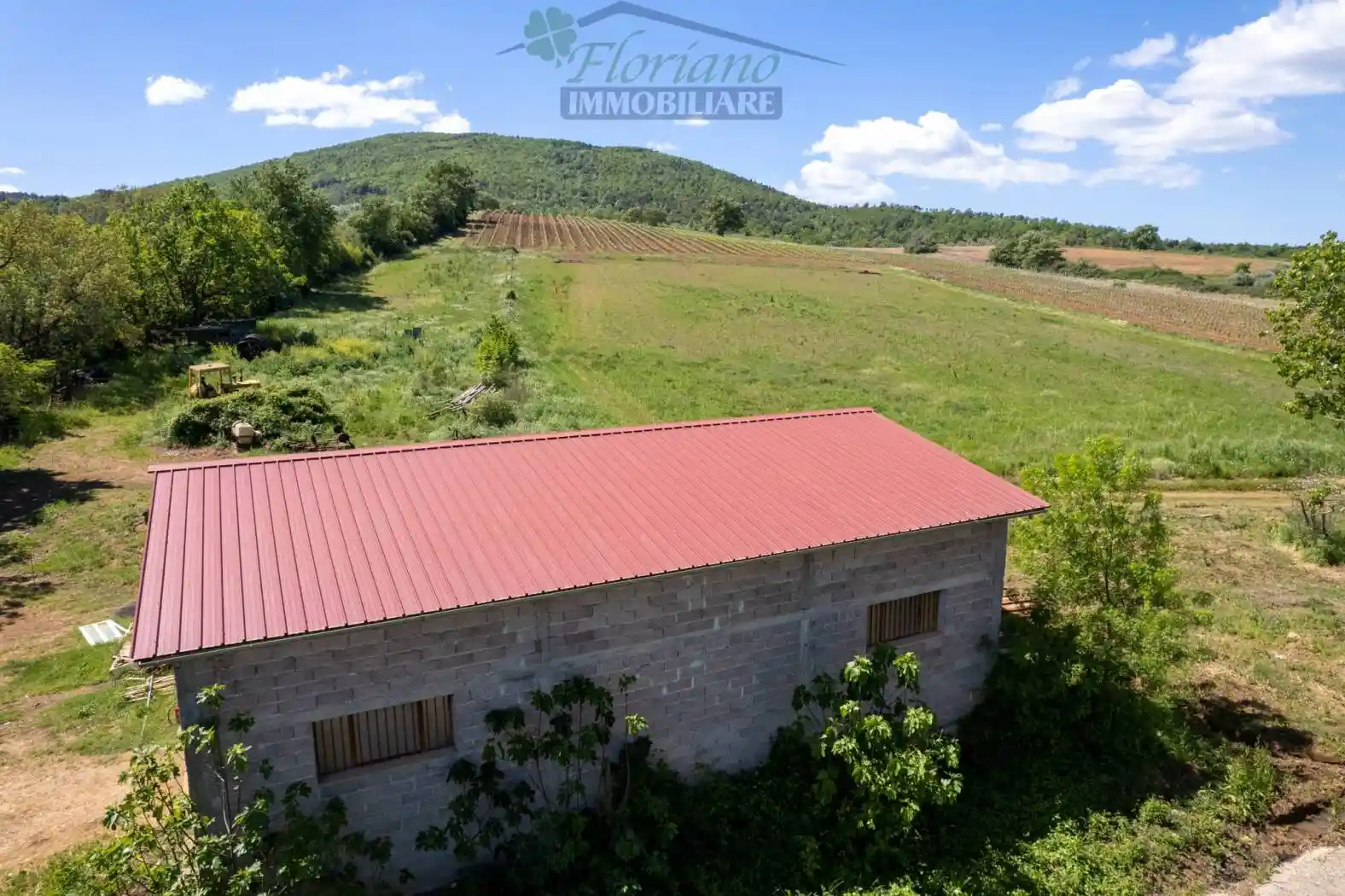 Rustico - Casale in vendita a Capalbio