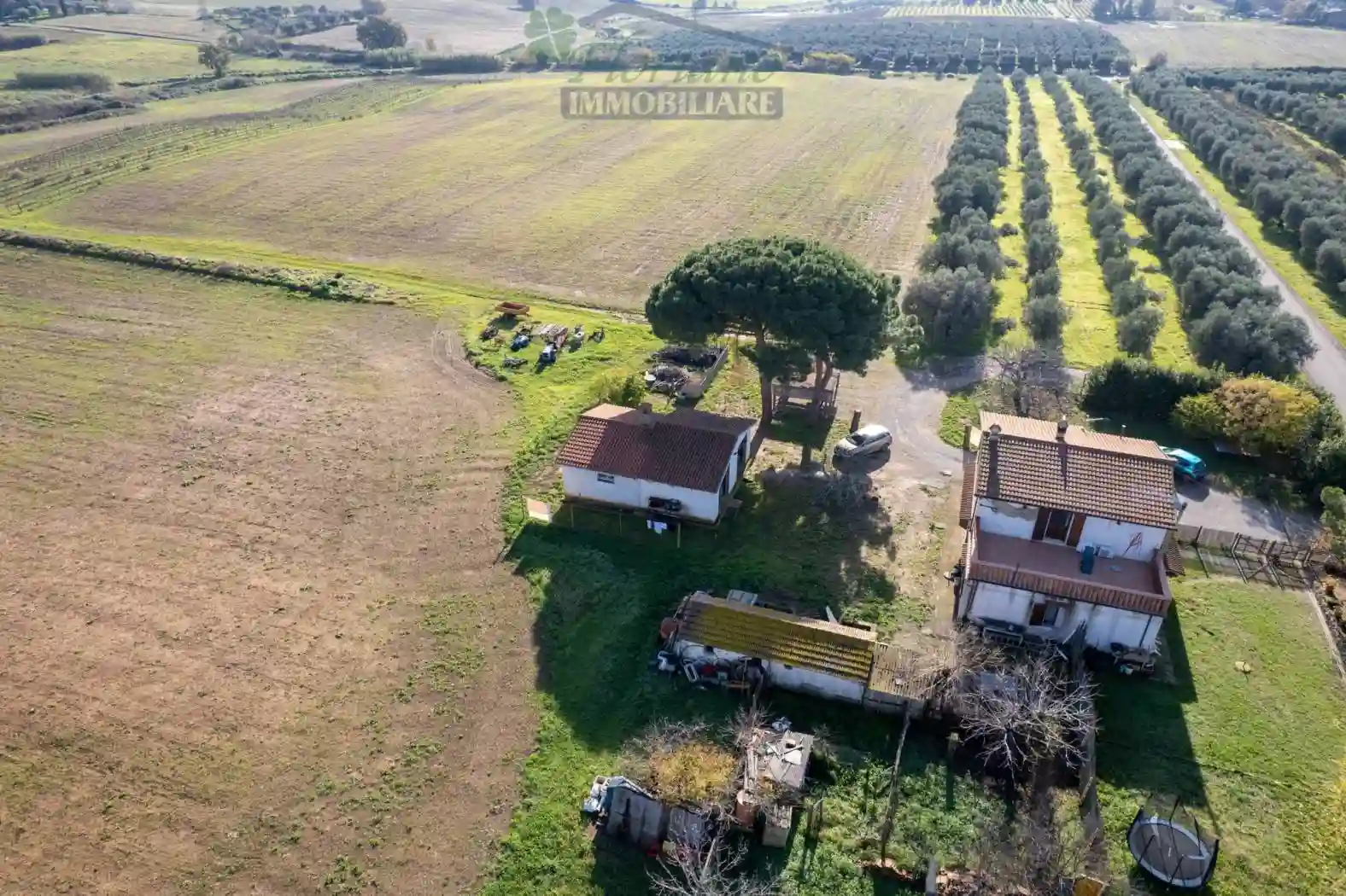 Rustico - Casale - foto 3