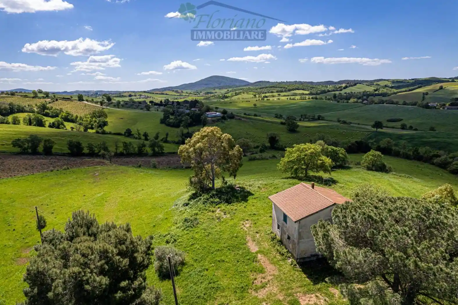 Villa in vendita a Capalbio