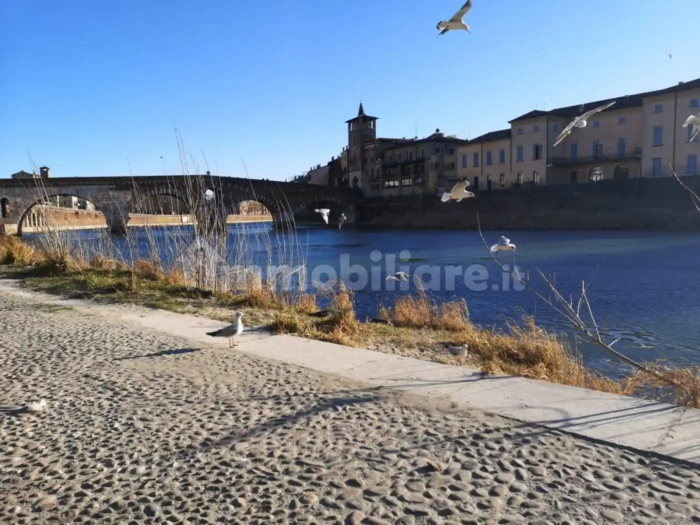 Appartamento in vendita a Verona