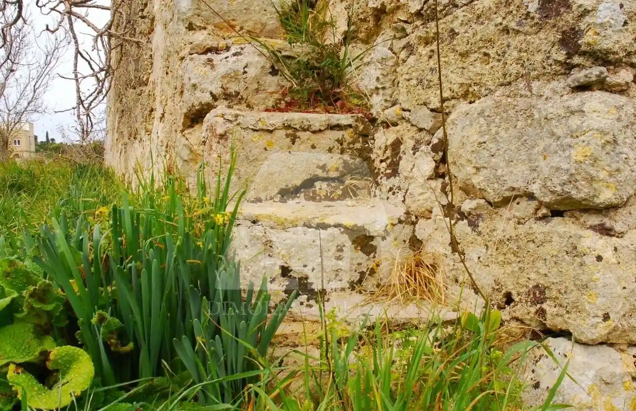 Rustico - Casale in vendita a Alessano