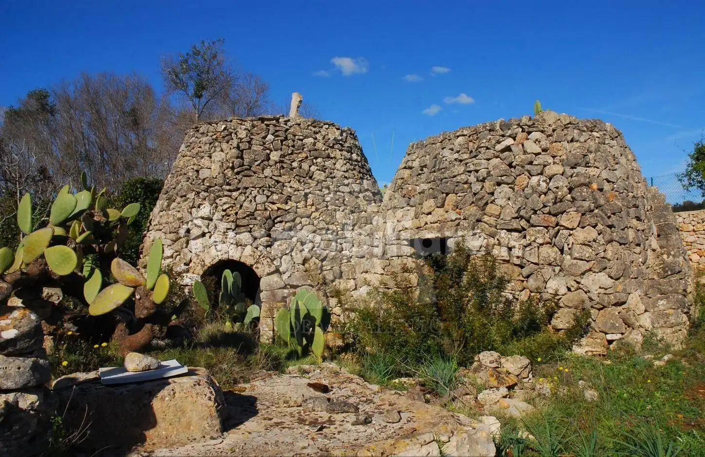 Rustico - Casale in vendita a Patù