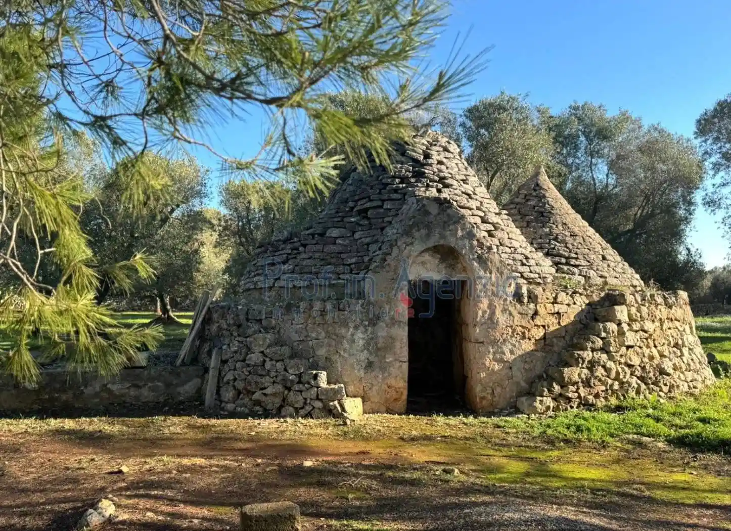 Rustico - Casale in vendita a Ostuni