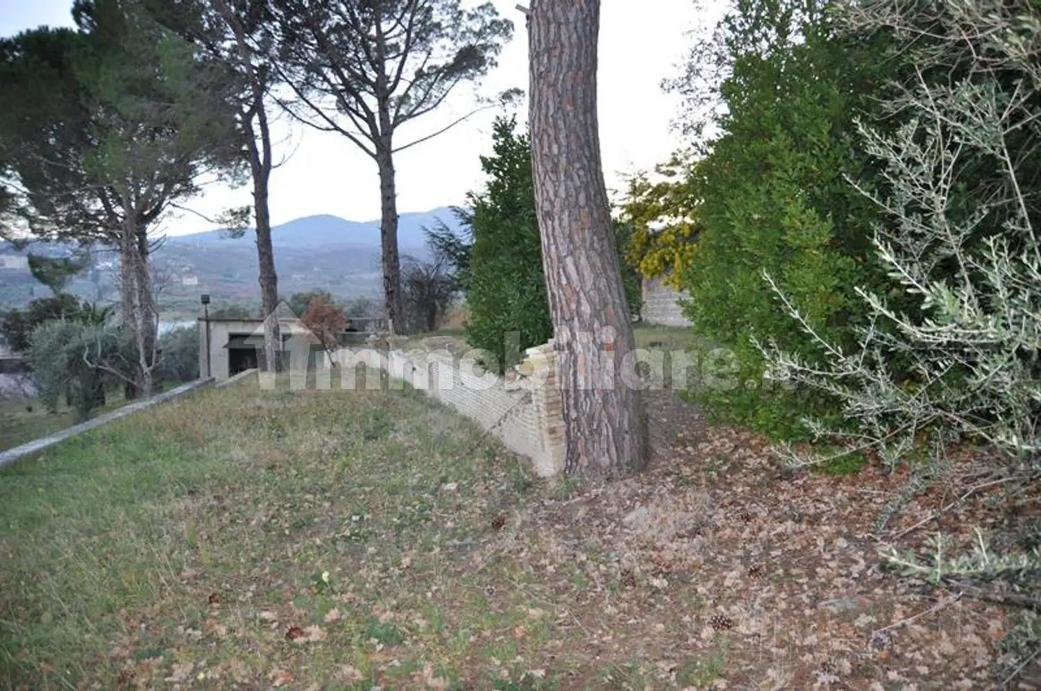 Palazzo - Stabile - foto 3