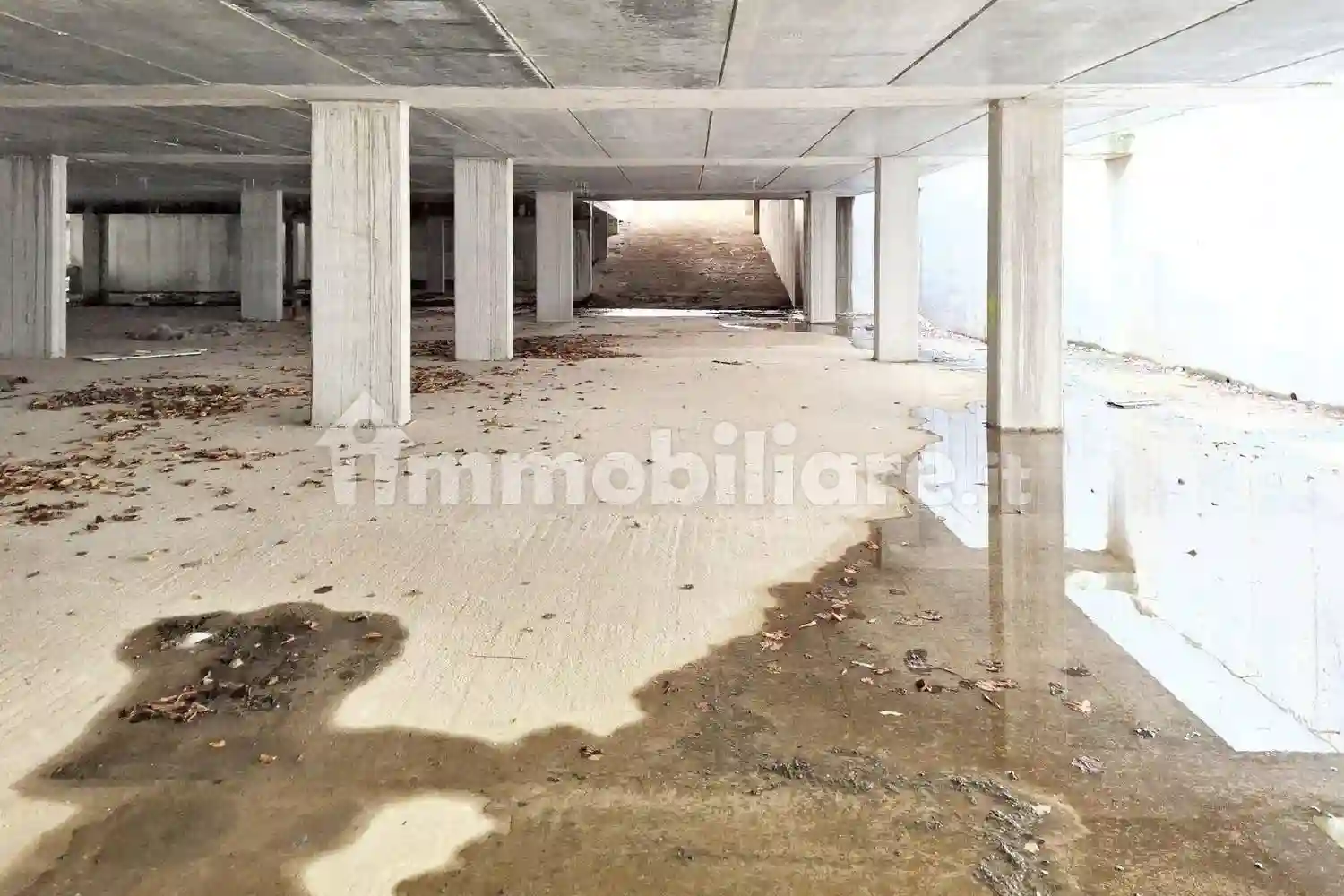 Palazzo - Stabile - foto 3