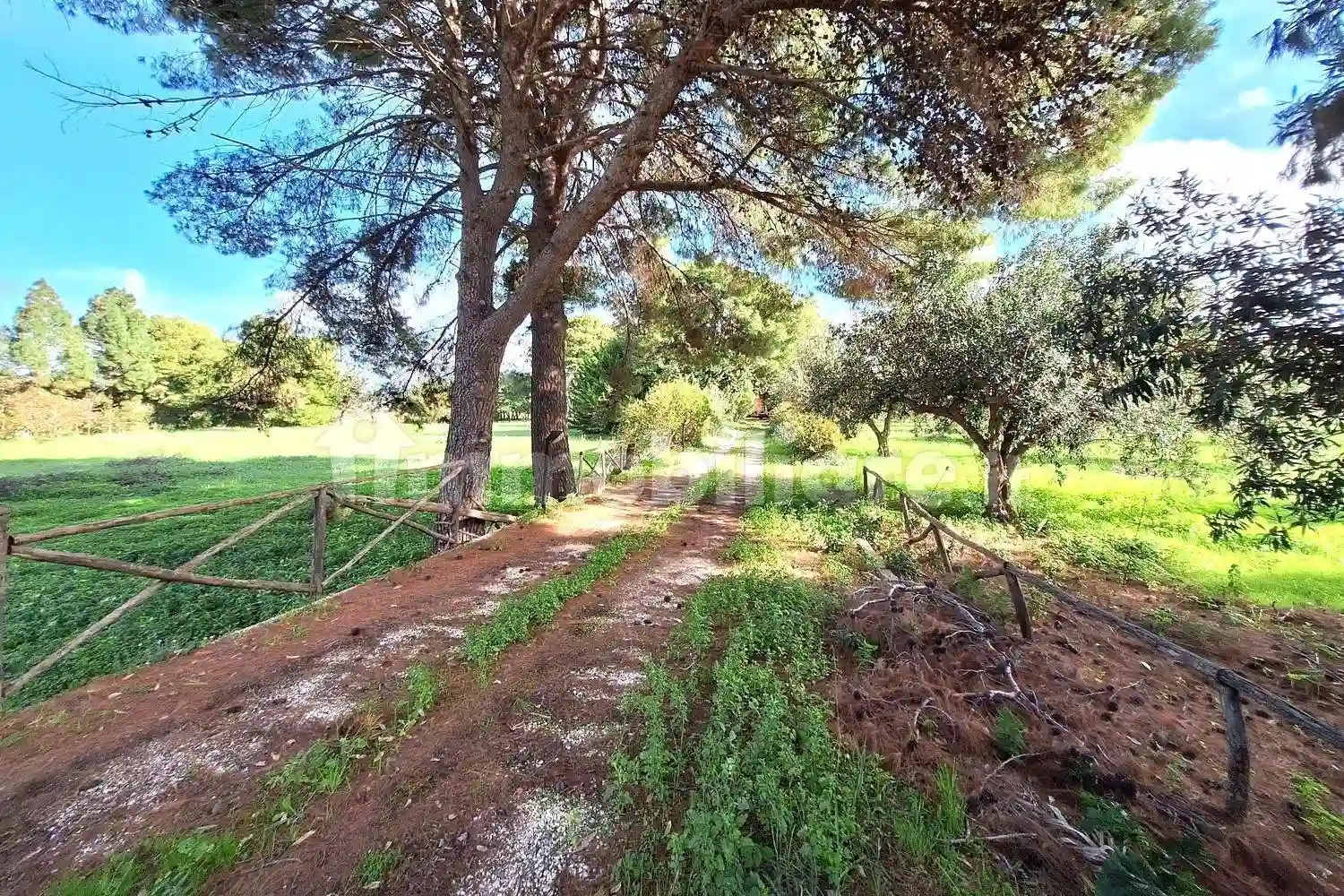 Palazzo - Stabile - foto 2