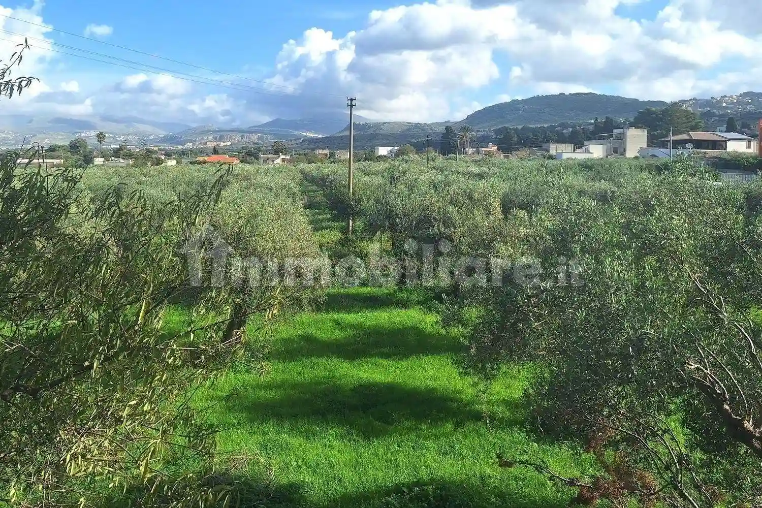 Palazzo - Stabile - foto 4