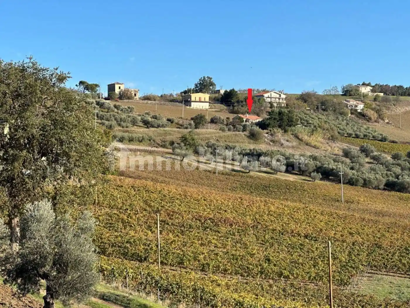 Casale Contrada Cona 48, Atri - foto 2