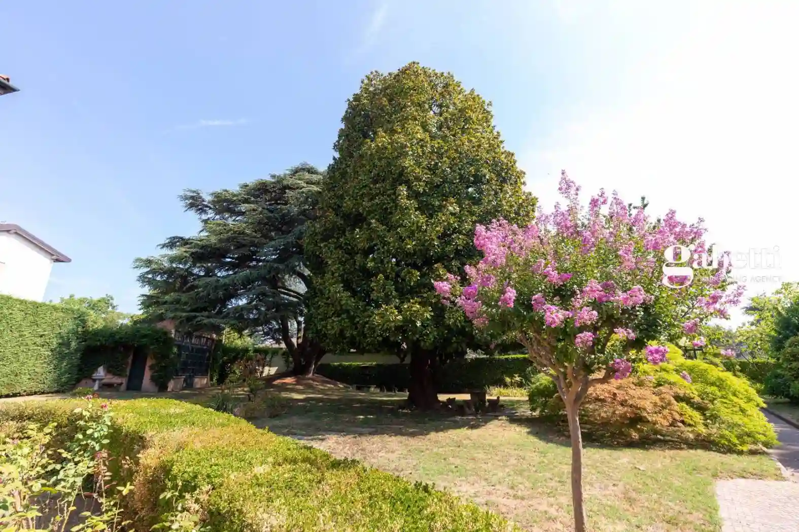 Palazzo - Edificio - foto 5