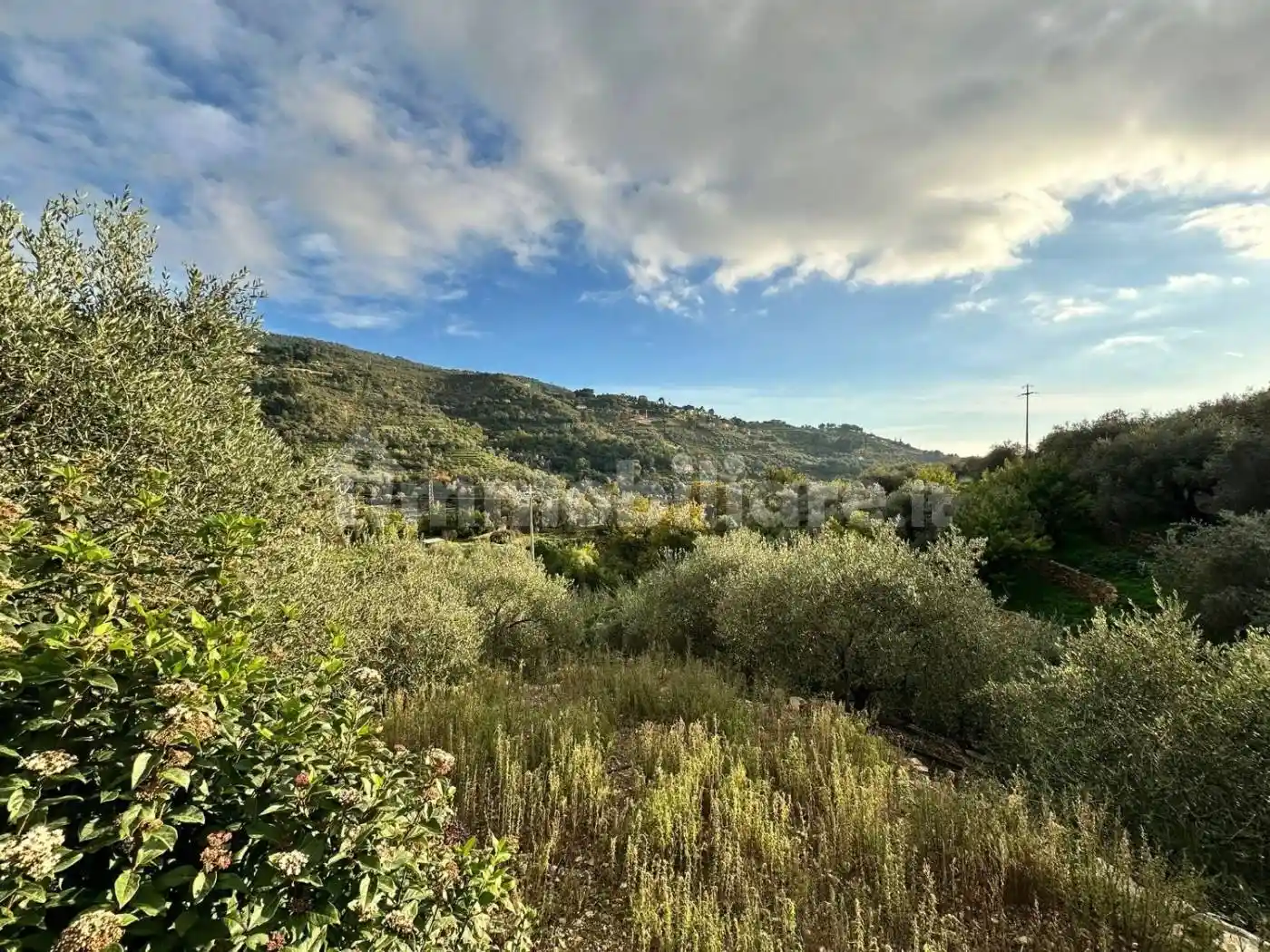 Villa in vendita a Vallebona