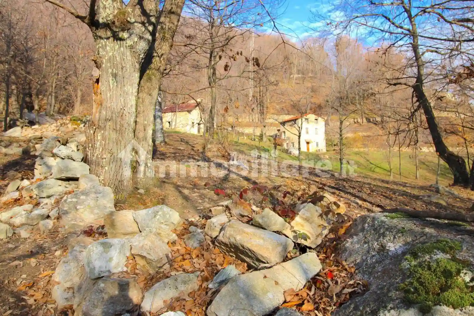 Rustico - Casale - foto 5