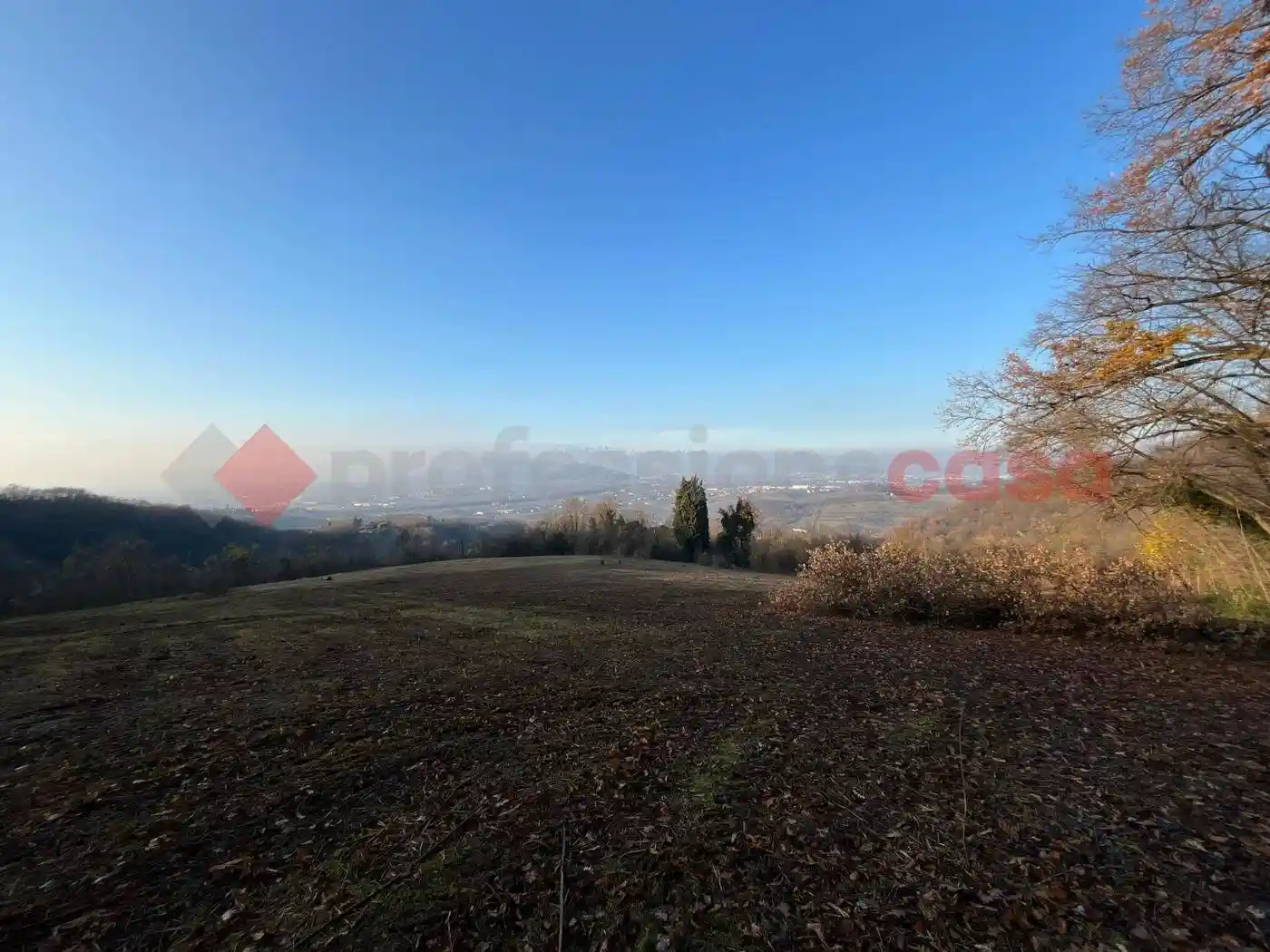 Rustico - Casale in vendita a Sarego