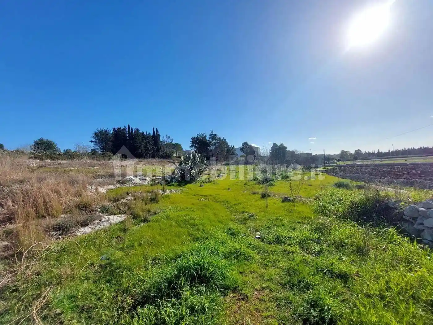 Villa in vendita a Scorrano