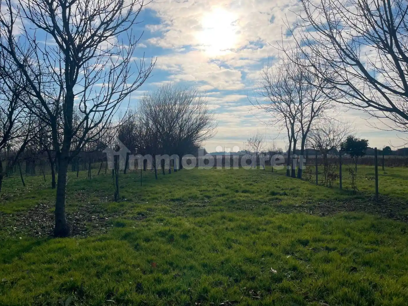 Villa in vendita a Dolo