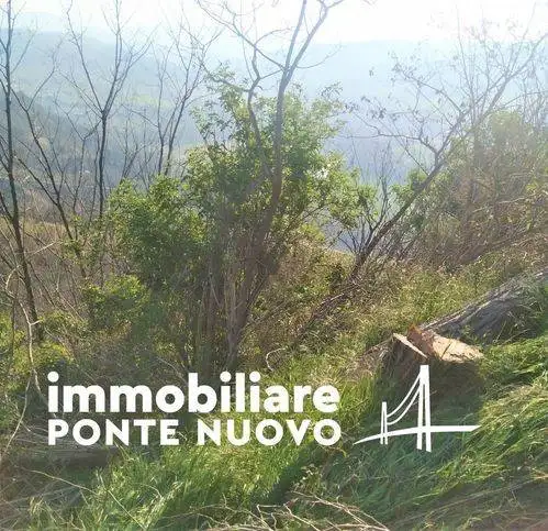 Rustico - Casale in vendita a Cesena