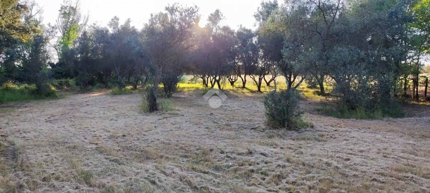 Rustico Contrada Masina, Sant'Elia, Brindisi - foto 5