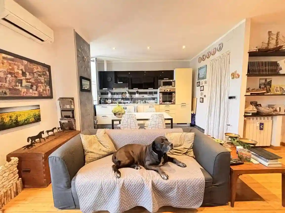 Appartamento - foto 4