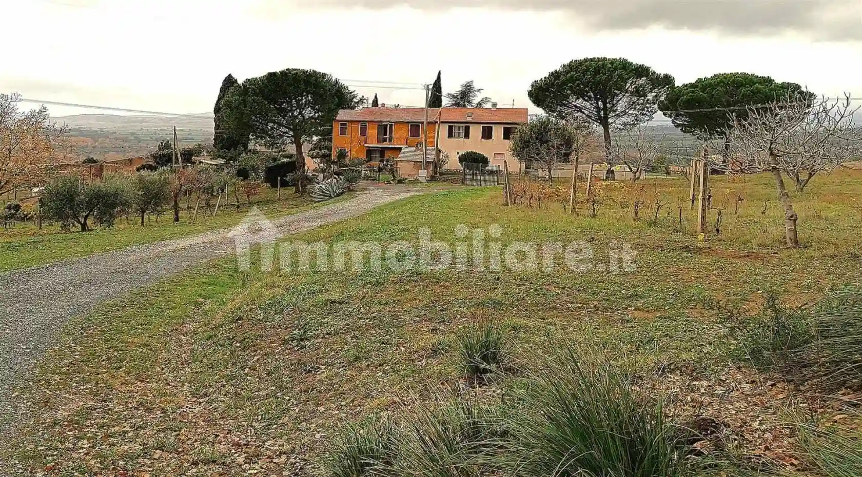 Rustico - Casale - foto 3