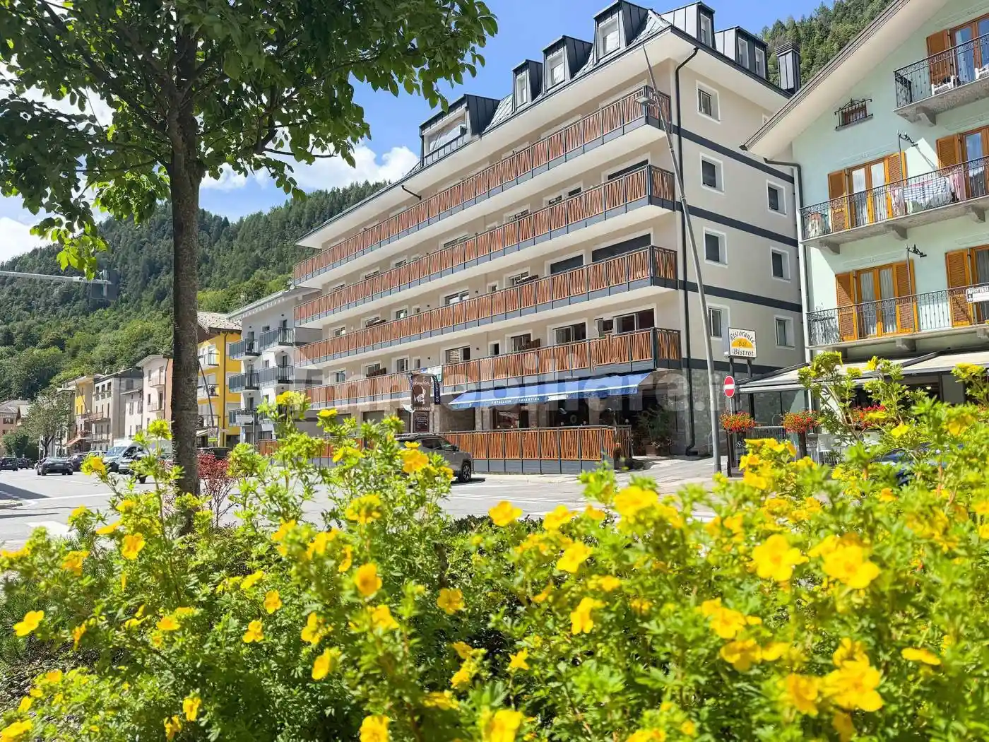 Appartamento in affitto a Aprica